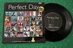 Perfect Day MINT Vinyl Record 1997